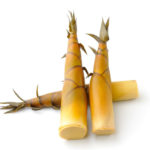 Bamboo Shoots