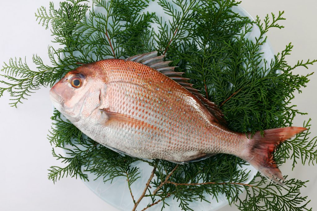 sea bream for Tai Meshi recipe
