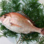 sea bream for Tai Meshi recipe