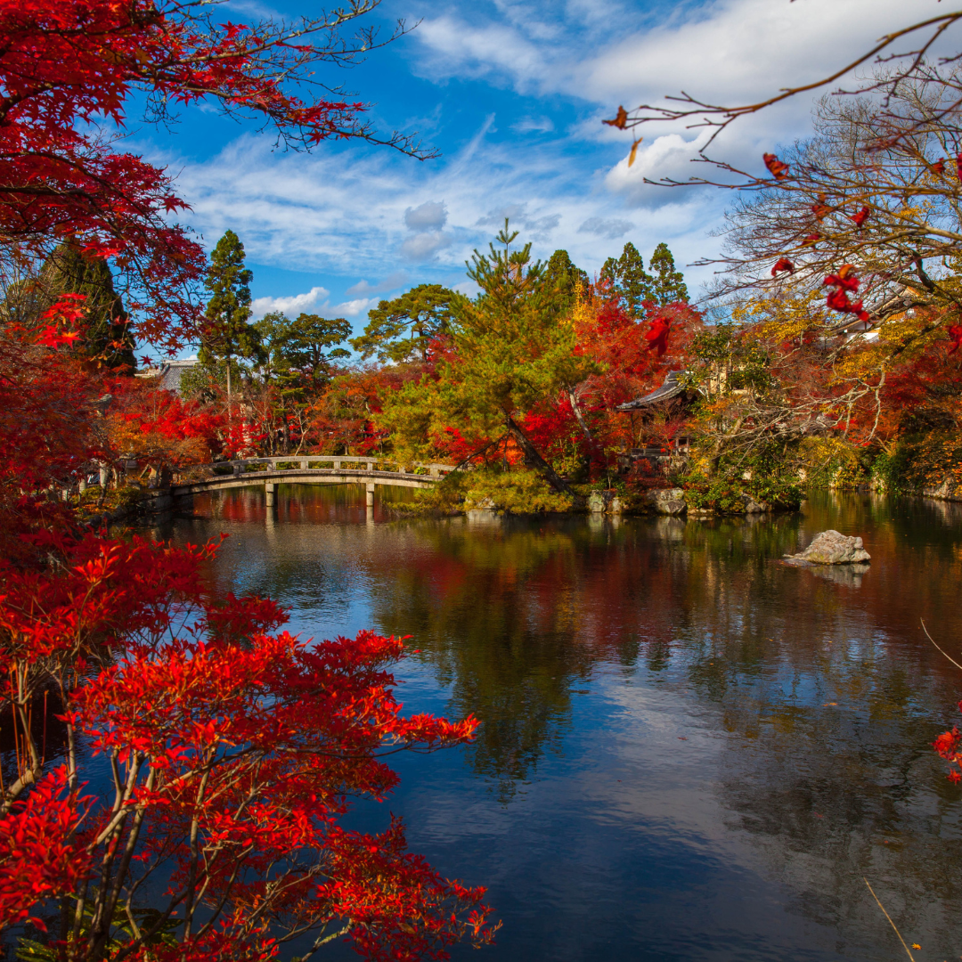 Fall Japanese Recipes